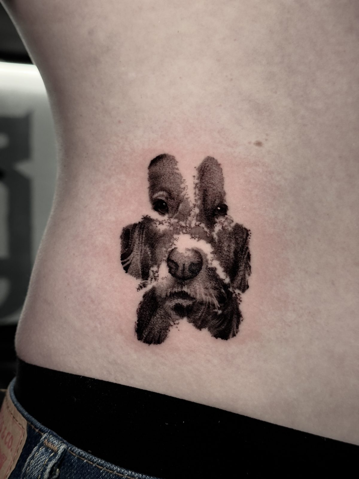 Small dog portrait in soft black and grey