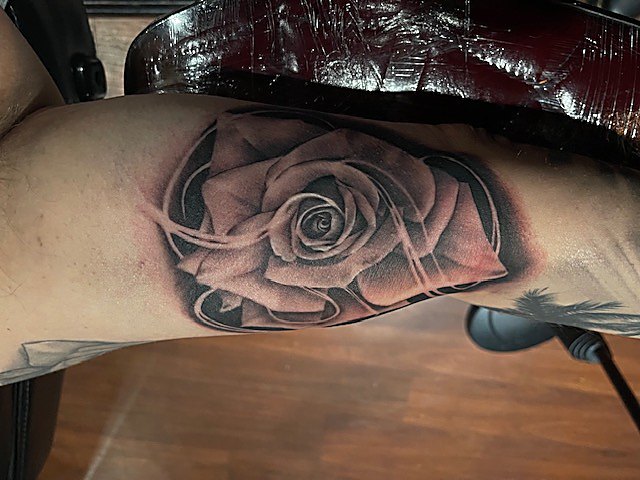 Rose in black and grey, inner forearm