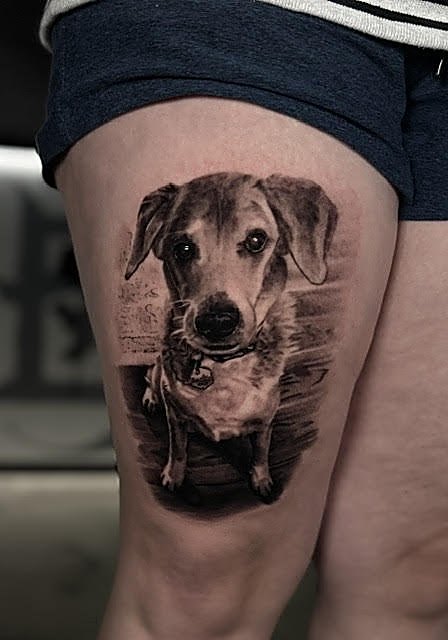 Puppy portrait on the thigh