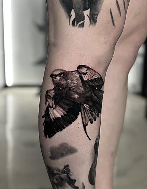 Crow in flight on the leg