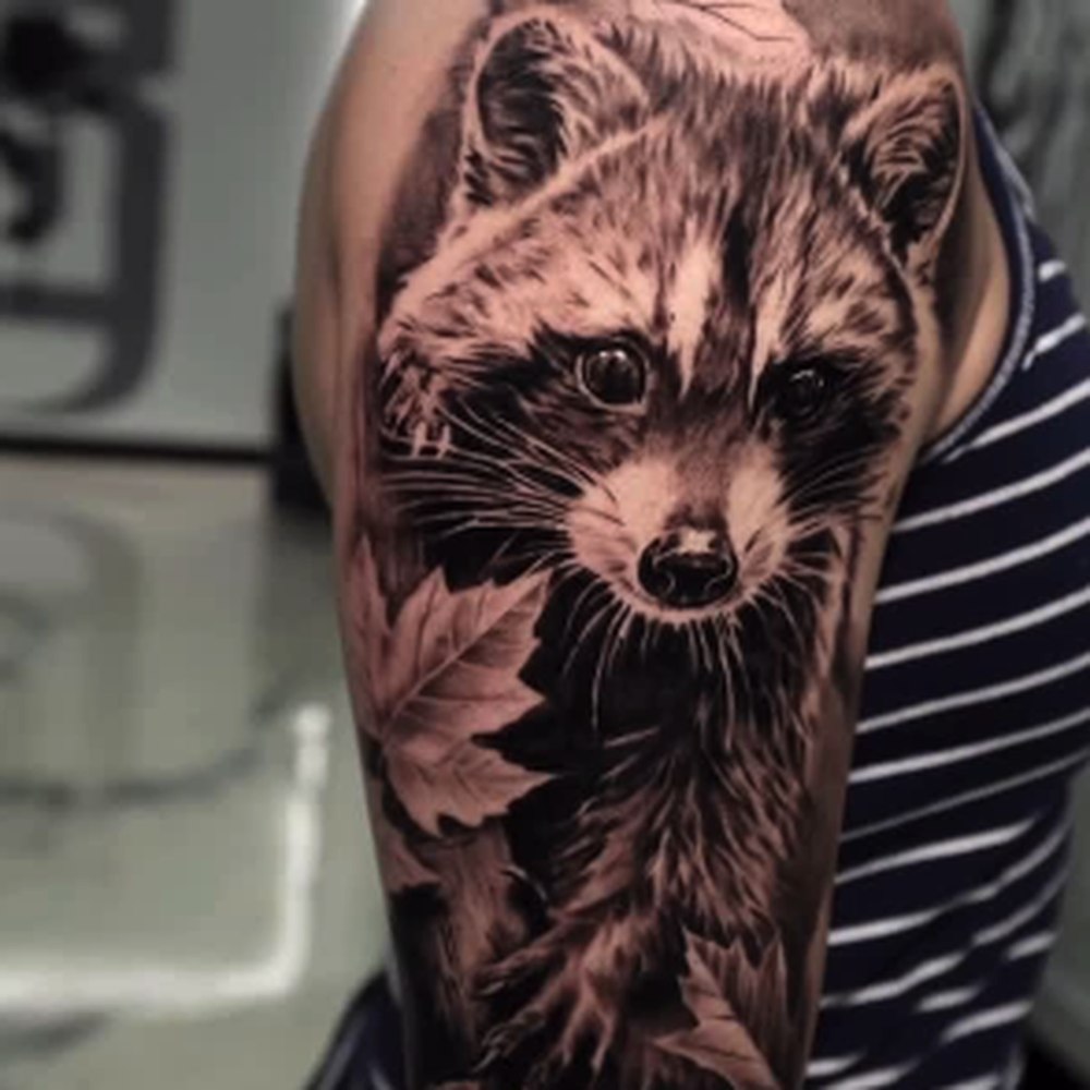 Black and grey raccoon, forearm