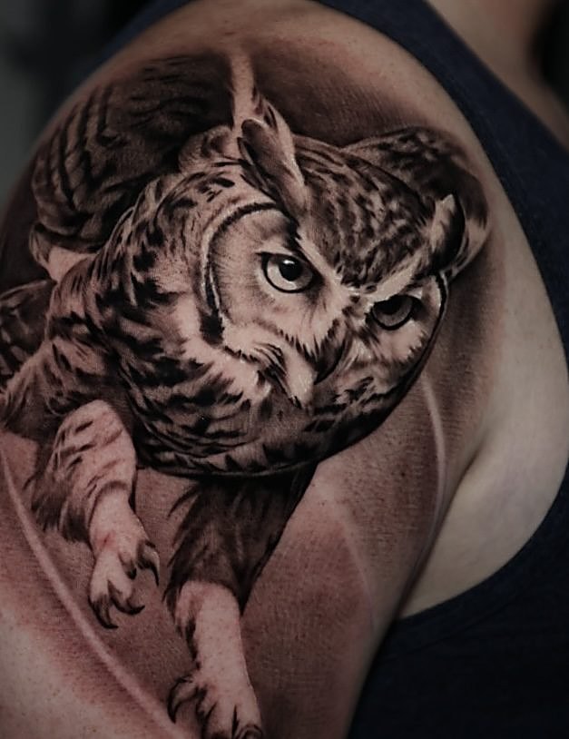 Owl clutching a kitten, shoulder
