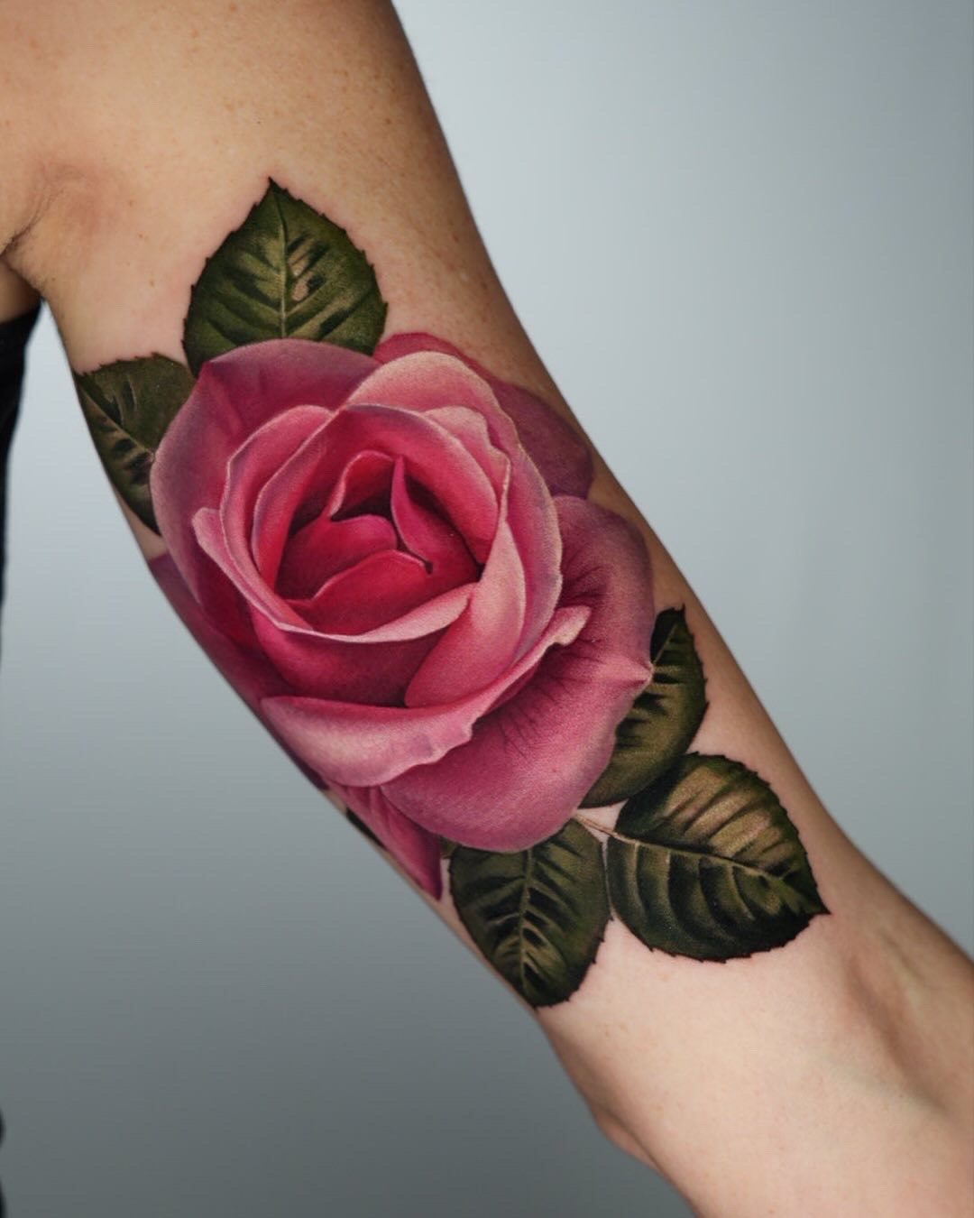 Single pink rose in colour realism
